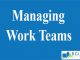 Managing Work Teams