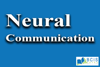 Neural communication || Biological Bases of Behavior || Bcis Notes