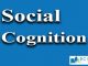 Social Cognition || Sensation and Perception || Bcis Notes