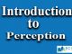 Introduction to Perception || Sensation and Perception || Bcis Notes