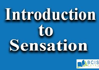 Introduction to Sensation || Sensation and Perception || Bcis Notes