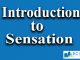 Introduction to Sensation || Sensation and Perception || Bcis Notes