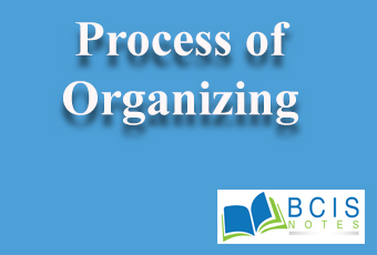 Process Of Organizing || organizing Structure And Design || Bcis Notes