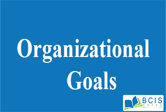 organizational goals