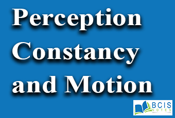 Perceptual Constancy and Motion Perception || Sensation and Perception