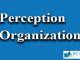 Perceptual Organisation || Sensation and Perception || Bcis Notes