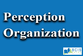 Perceptual Organisation || Sensation and Perception || Bcis Notes