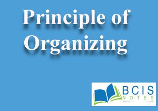 Principle Of Organizing || Organizational Structure And Design || Bcis Notes