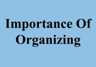 Importance Of Organizing || Organizational Structure And Design || Bcis Notes