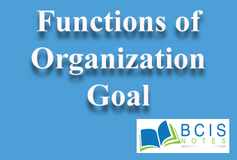 Functions of Organizational Goals || Planning and Decision Making || Bcis Notes