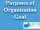 Purposes of Organizational Goals || Planning and Decision Making || Bcis Notes
