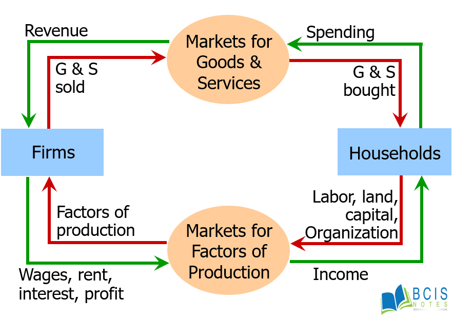 Concept of Market Economy || Introduction to Microeconomics || Bcis Notes