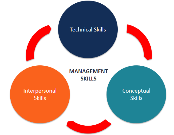 Managerial Skills And Roles || The Nature Of Management || Bcis Notes