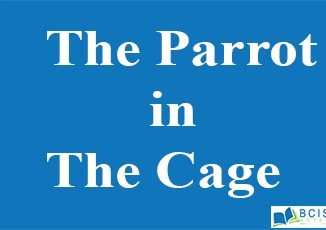 Four Levels of The Parrot In The Cage || Animal Stories || BCIS Notes