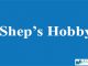 Four Levels of Shep's Hobby || Animals Stories || BCIS Notes