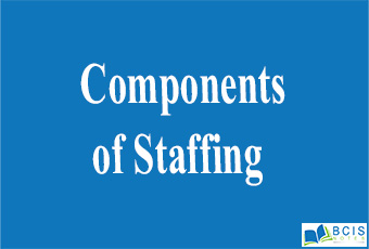 Components of Staffing || Organizational Structure and Staffing || Bcis notes