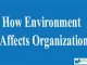 How Environment Affects Organization || The nature of management || Bcis notes