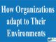 How Organizations adapt to Their Environments || The Nature of Management || Bcis Notes