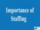Importance of Staffing || Organizational Structure and Staffing || Bcis notes