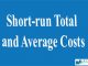 Short-run Total and Average Costs