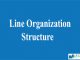 Line Organization Structure || Organizational Structure And Design || Bcis Notes
