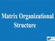 Matrix Organizational Structure || Organizational Structure And Design || Bcis Notes