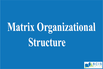 Matrix Organizational Structure || Organizational Structure And Design || Bcis Notes