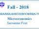 Microeconomics 2018 fall