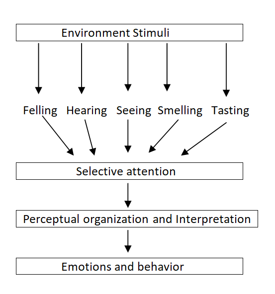 Perception || Perception, Personality and Learning || Organizational Behavior