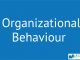 Introduction to Organizational Behavior || Fundamentals of Organizational Behavior