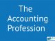 The Accounting Profession-role and activities of an accountant || The Conceptual Foundation of Accounting