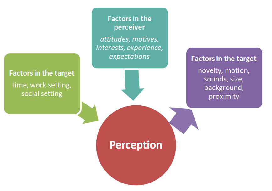 Perception || Perception, Personality And Learning