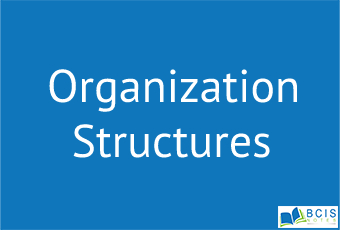 Organization Structure