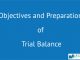 Objectives and Preparation of Trial Balance || Processing and Recording Business Transactions