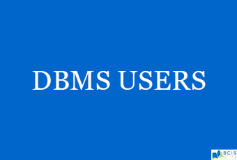 DBMS Users