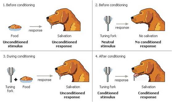 Learning || Perception, Personality and Learning || OB