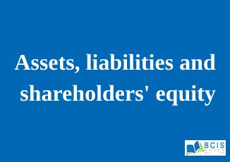 Assets, liabilities and shareholders' equity || Preparation of Financial