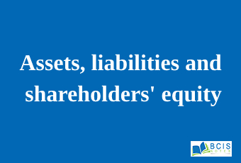 Assets, liabilities and shareholders' equity || Preparation of Financial