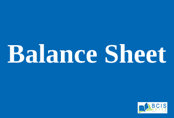 Balance Sheet || Preparation of Financial Statements