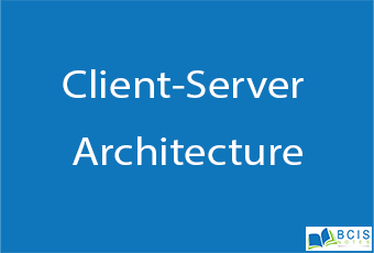 Client-Server Architecture || Web Environment || BCIS Notes