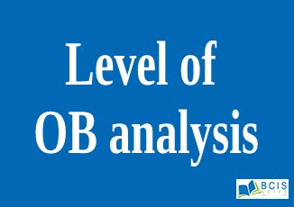 Level of OB analysis