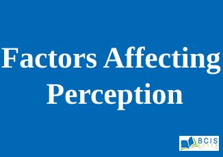 Factors affecting perception