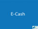 E-cash || Electronic Payment || BCIS Notes