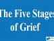 Four Levels of The Five Stages of Grief || Life and Death || Bcis Notes