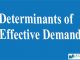 Determinants of Effective Demand || Theories of Employment || Bcis Notes
