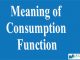 Meaning of Consumption Function || Consumption Function and Saving Function || Bcis Notes