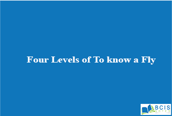 Four Levels of To know a Fly