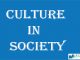 Culture in Society || The foundations of society || Bcis Notes