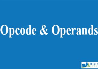 Opcode and Operands || Intel 8085 Microprocessor Architecture and Programming || Bcis Notes