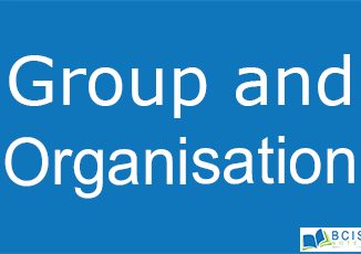 Group and Organisation || The foundations of society || Bcis Notes